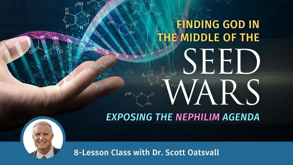 Seed Wars