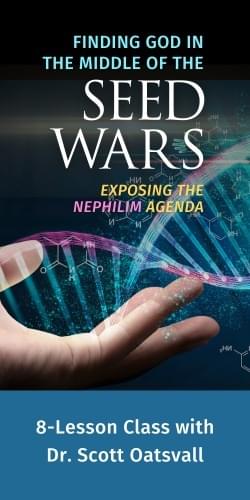 Seed Wars